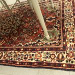 886 2307 ORIENTAL RUG